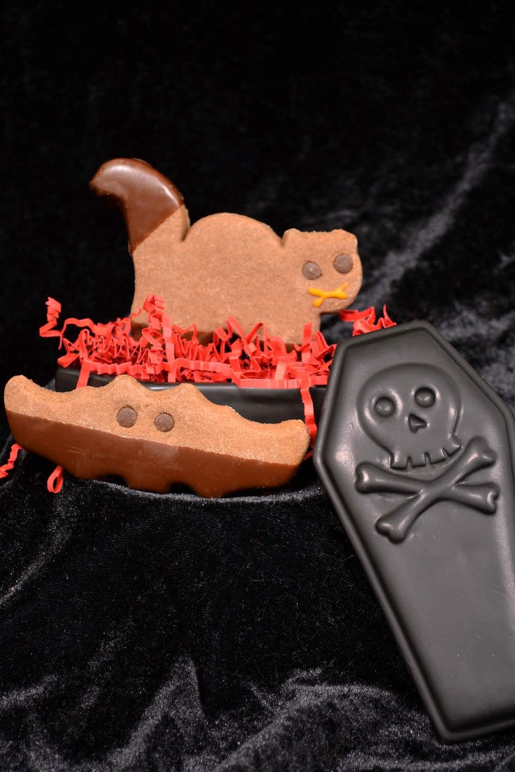 Holiday- Halloween